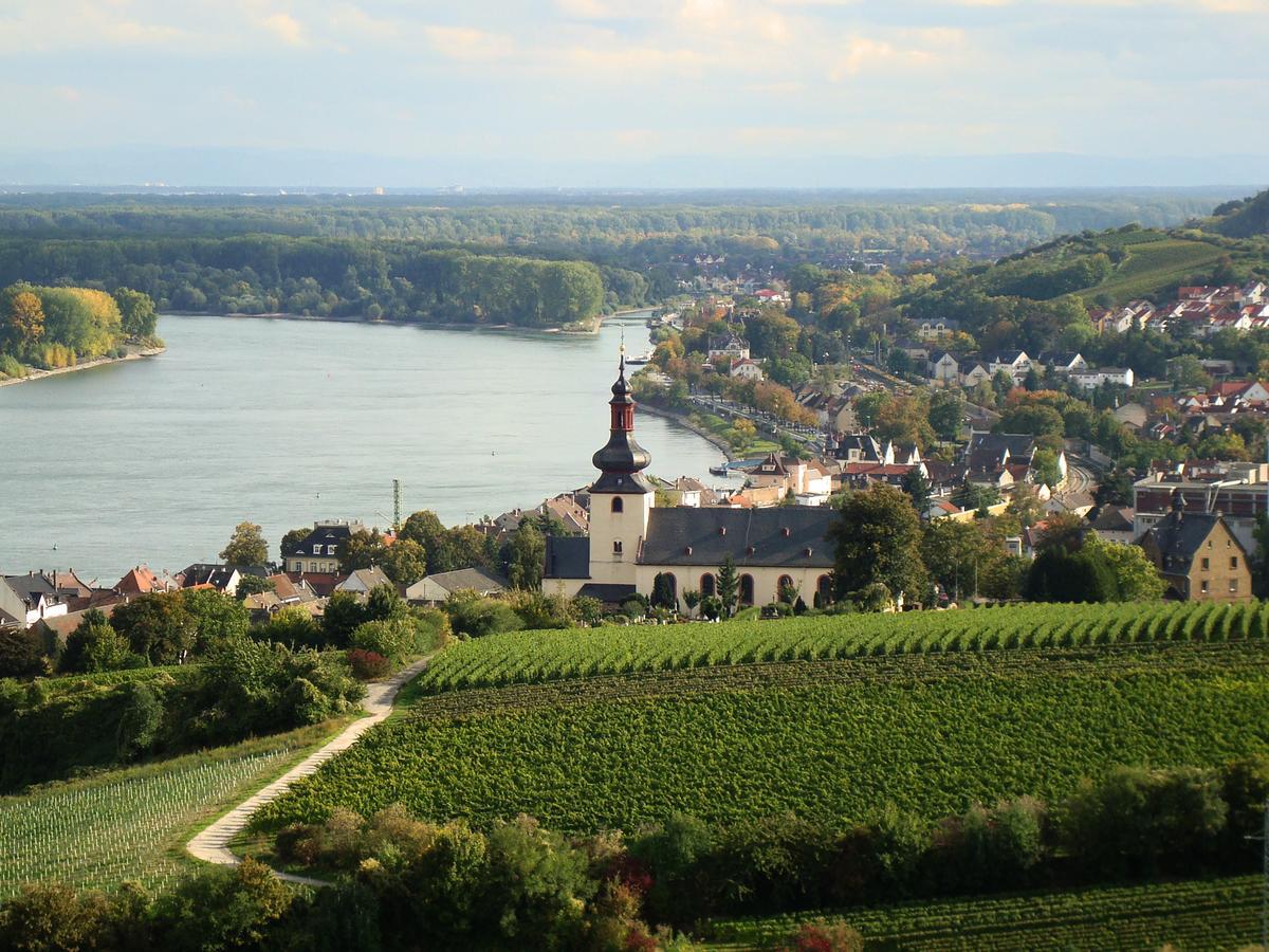 Best Western Wein- Und Parkhotel Nierstein Dış mekan fotoğraf